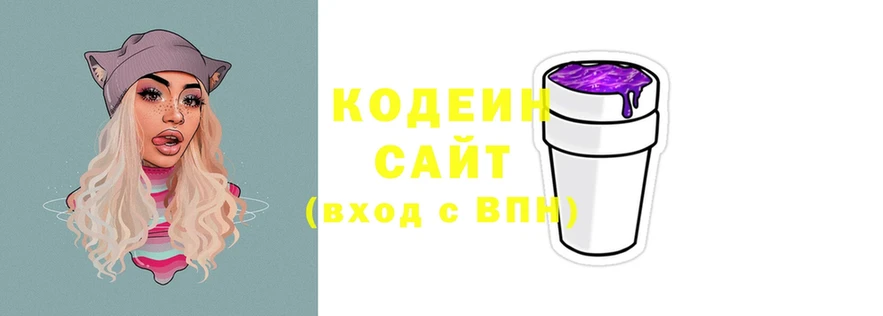 купить закладку  ссылка на мегу tor  Кодеин Purple Drank  Гуково 